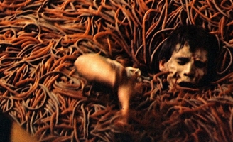 10 phim kinh dị khiến bạn hoảng loạn bởi những thứ... ngớ ngẩn!