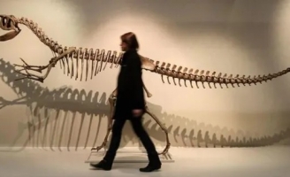 200 năm nghiên cứu về khủng long: Vẫn còn nhiều bí ẩn chưa được giải mã