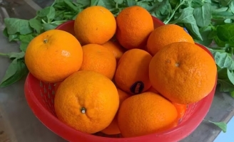 5 loại thực phẩm tốt nhất để ngăn ngừa sỏi thận