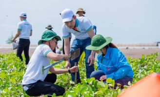 ABBANK chung tay ứng phó biến đổi khí hậu