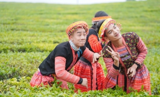 Ẩm Thực Kỳ Thú tập 14 tiếp tục hấp dẫn