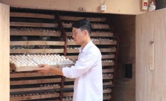 Ấp trứng vịt lộn, một thôn thu gần 200 tỷ đồng mỗi năm