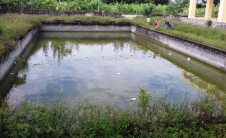 Bể bơi bỏ hoang, trẻ em phải tập bơi ngoài sông