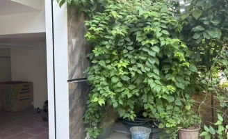 Cảnh báo rắn cắn, chui vào nhà khi mùa mưa