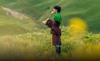 Chàng trai chăn bò 