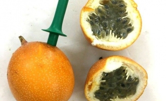 Chanh dây 120.000 đồng một quả, hút trực tiếp không cần pha chế