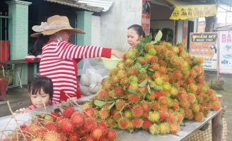 Chôm chôm Java còn 5.000 đồng/kg, giá thảm nhất trong 5 năm
