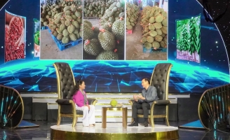 Cô nông dân đổi đời khi quyết định khởi nghiệp từ sầu riêng Bến Tre