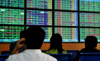 Cổ phiếu Sữa Hà Nội bị tạm ngừng giao dịch