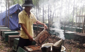 Công an xã 'đè' người nuôi ong thu phí