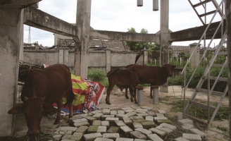 Công trình nước sạch nông thôn 'chết yểu'