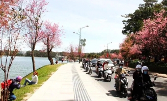 Đà Lạt cấm ô tô 16 chỗ trở lên dừng đỗ trên đường giáp hồ Xuân Hương