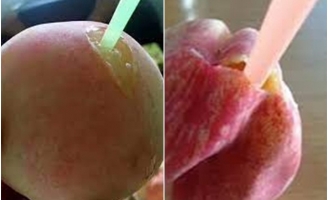 Đào cắm ống hút gần 1 triệu đồng/kg đang gây sốt có gì đặc biệt?