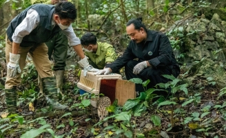 Đạo diễn Cao Trung Hiếu: “Bây giờ, tôi đối diện rừng…”