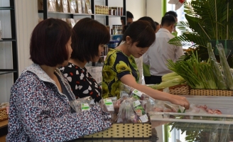 Đắt gấp 2-3 lần, rau 'sạch' vẫn mù mờ chất lượng