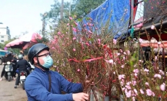 Đề xuất nghỉ Tết Nguyên đán 2023 kéo dài 7 ngày