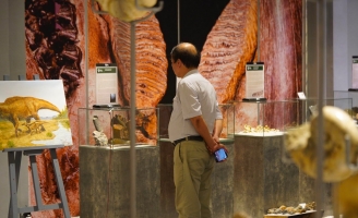 Đến Festival Huế 2022 xem “Hóa Thạch – Hành trình khám phá nguồn gốc của sự sống trên trái đất” 