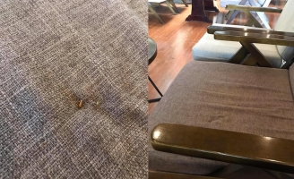 Đi uống cà phê, người đàn ông tá hỏa khi bị vật nhọn đâm vào vùng nhạy cảm