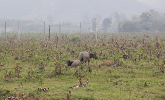 Doanh nghiệp 'xù' nợ tiền tỉ thuê đất của dân