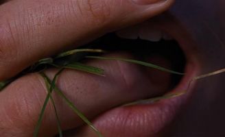 “Đồi gió hú” tái xuất màn ảnh rộng với Margot Robbie và Jacob Elordi