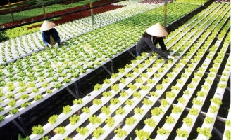 Đột phá nông nghiệp công nghệ cao nhờ nguồn điện