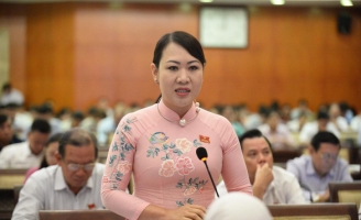 “Dùng lu chống ngập là kinh nghiệm dân gian chứ tôi không suy diễn”