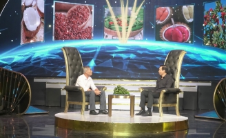 Ghé thăm vườn cau tiền tỷ của lão nông Nguyễn Ngọc Tần