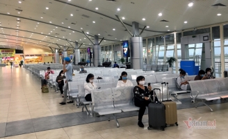 Giá vé máy bay lại 'rẻ bèo', hàng không kêu cứu