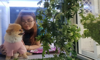 Gởi thú cưng ngày tết, chủ 'bay' 500.000 đồng/ngày