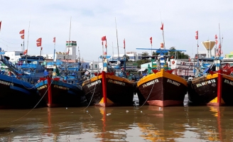 Hàng trăm ngư dân bị bắt giữ vì khai thác thủy sản trái phép