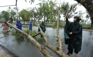 Hình ảnh ngổn ngang, hoang tàn sau trận càn quét của bão Noru