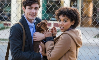 Khám phá 3 lý do nên đi xem A Dog’s Way Home