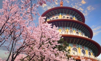 [E] Khám phá Đài Loan: Điểm đến hấp dẫn của châu Á