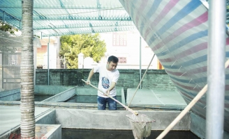 Kiếm gần tỷ đồng mỗi năm nhờ nuôi loài côn trùng thơm như hương quế