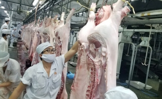 Kiểm soát chặt nguồn heo vào TP.HCM