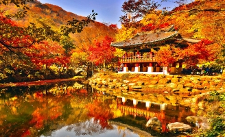 Kinh nghiệm du lịch Hàn Quốc mùa thu