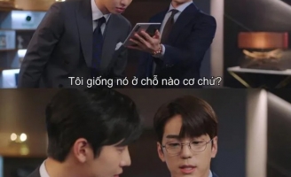 Loài chim 'hot' nhất tháng 3 này được dân mạng đồng loạt gọi tên... Chim Thủy Tổ!