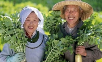 Loại rau kéo dài tuổi thọ mà người Nhật dùng mỗi ngày