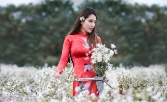Mai Thiên Trang 