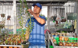 Minh Tạo cái duyên tình cờ đến với lan đột biến