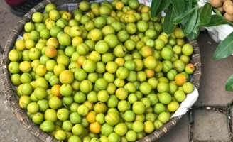 Mới đầu mùa, dân Việt ăn hơn 7.000 tấn mận Trung Quốc