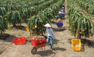 Nghị quyết trung ương 5: Xây dựng thương hiệu nông sản Việt