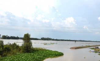 Người miền Tây tất bật đón lũ về mưu sinh mùa nước nổi