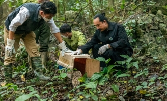 “Những đôi mắt xanh non” - Những đôi mắt kết nối duyên lành