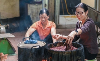 Nữ thiếu tá về hưu nuôi giun quế thu gần 6 tỷ mỗi năm