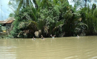 Nước lũ về sớm ở vùng đầu nguồn Đồng Tháp Mười