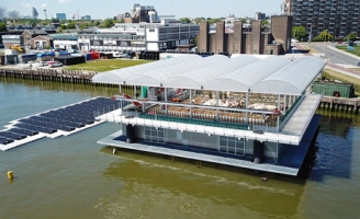 Nuôi bò trên biển ở Rotterdam