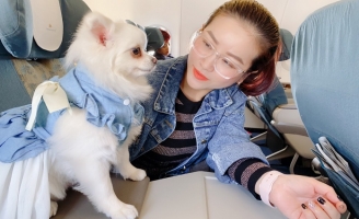 Sở thích tốn kém của Kiều Linh – Mai Sơn