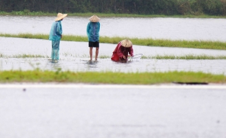 Thả lưới, 2 người dân bị nước lũ cuốn chết