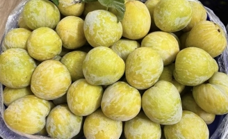 Thêm một loại quả Trung Quốc đổ bộ chợ Việt, giá 450.000 đồng/kg vẫn 'cháy hàng'